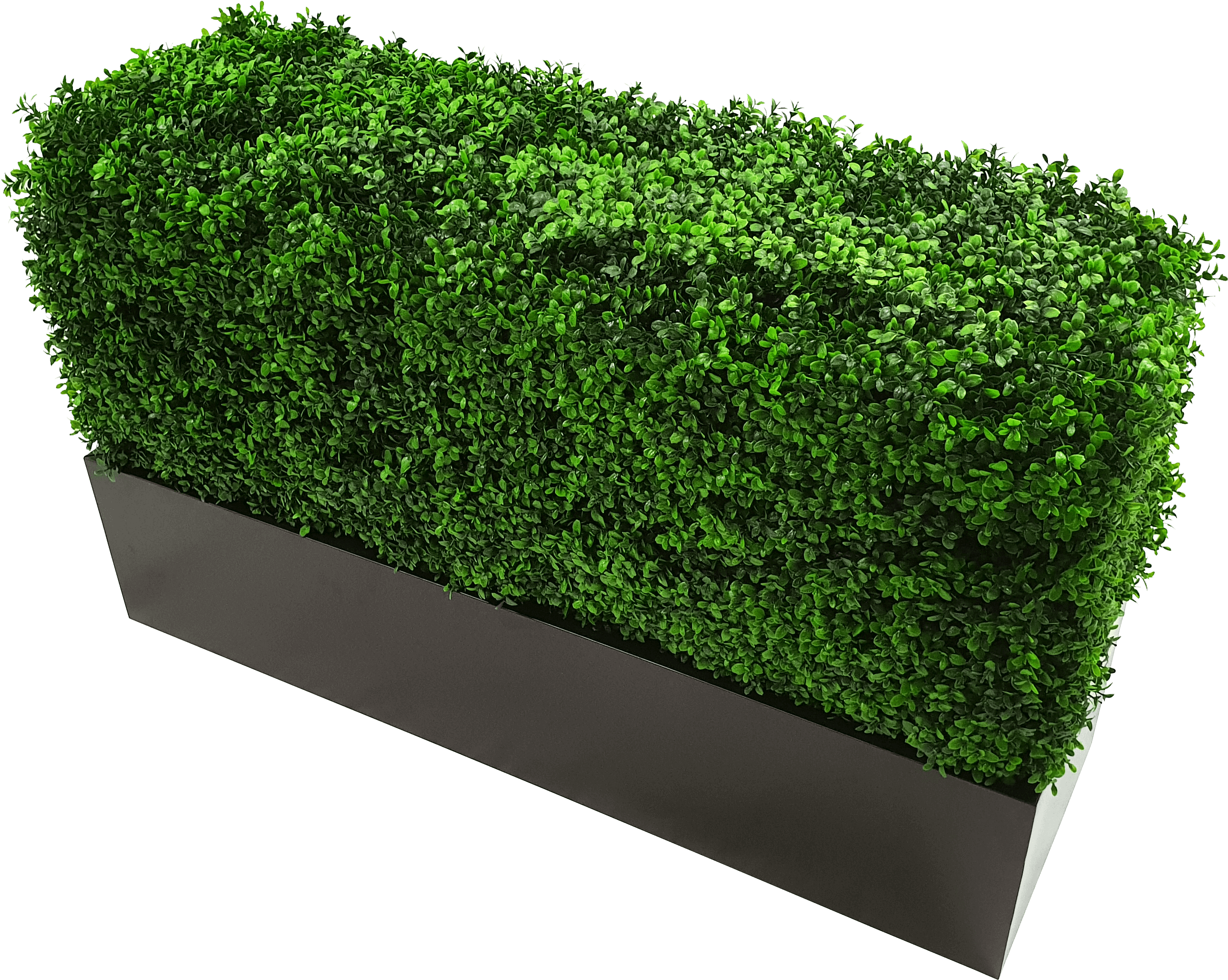 Boxwood Hedge Shrubs Artificial Png - Flower Box Clipart (2904x2360), Png Download