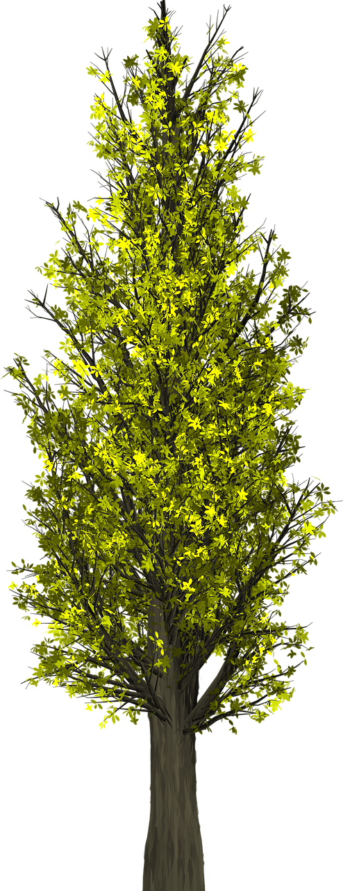 Tree Bush Shrub Leaves Branches Png Image - Negotiation Clipart (494x1280), Png Download