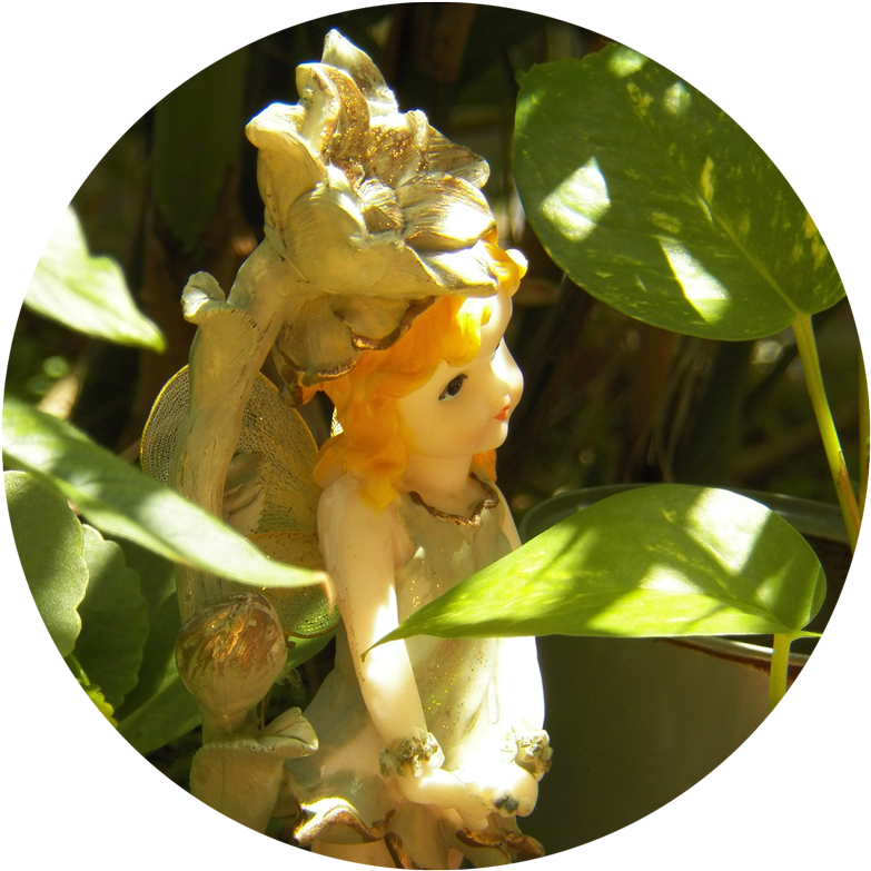 Garden Clipart (800x800), Png Download