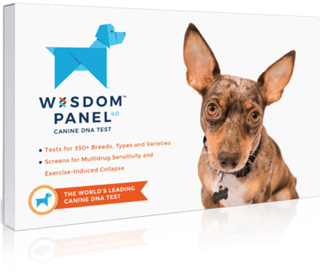 Wisdom Panel Dog Dna Test Clipart (640x695), Png Download