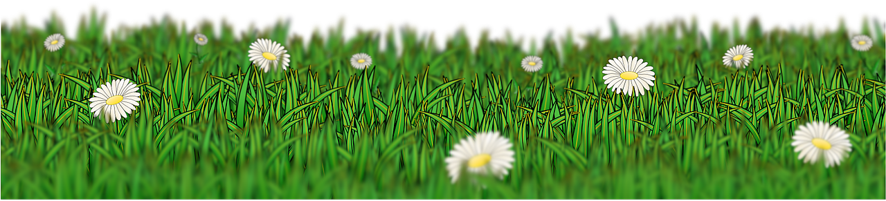 Meadow Grass Green Flower Daisy Png Image - حشائش Png Clipart (1280x640), Png Download