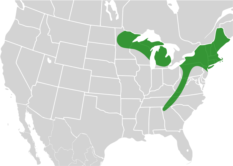 Map Google Ozarks Maps Darter Highland Clipart - Ozark Mountains On A Map - Png Download (800x559), Png Download