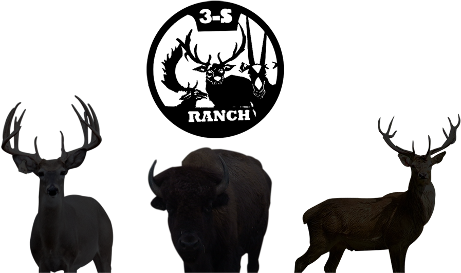 Whitetail Deer Png Clipart (906x530), Png Download