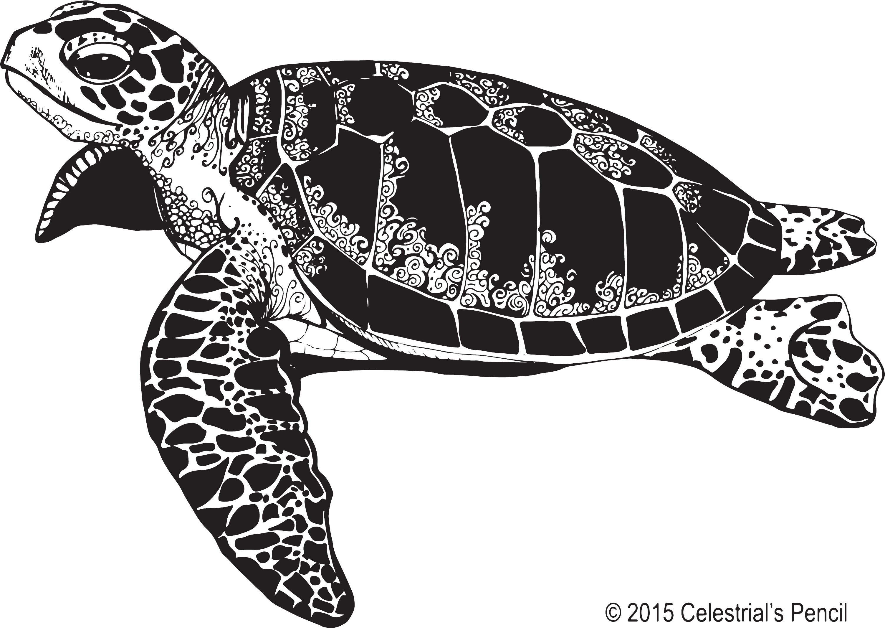 Sea Turtle Illustration Free Sea Turtle Clipart Black And White Png Download Large Size Png Image Pikpng