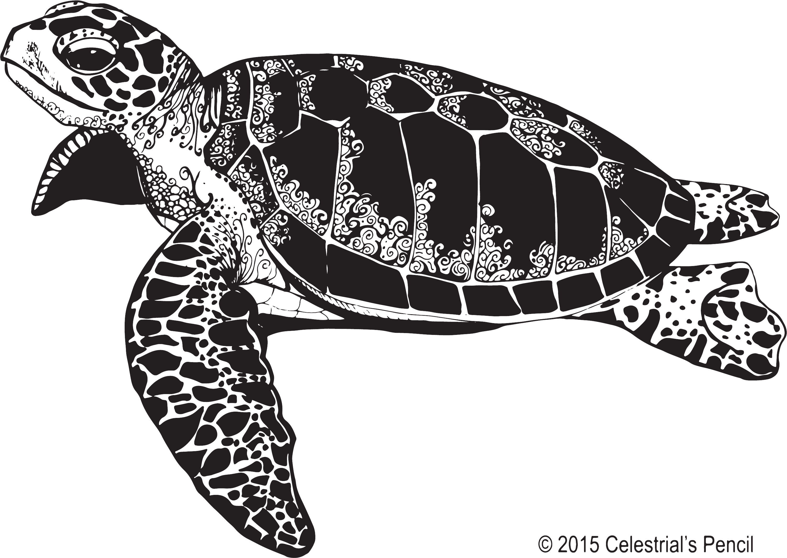 Sea Turtle Illustration - Free Sea Turtle Clipart Black And White - Png Download (3264x2290), Png Download