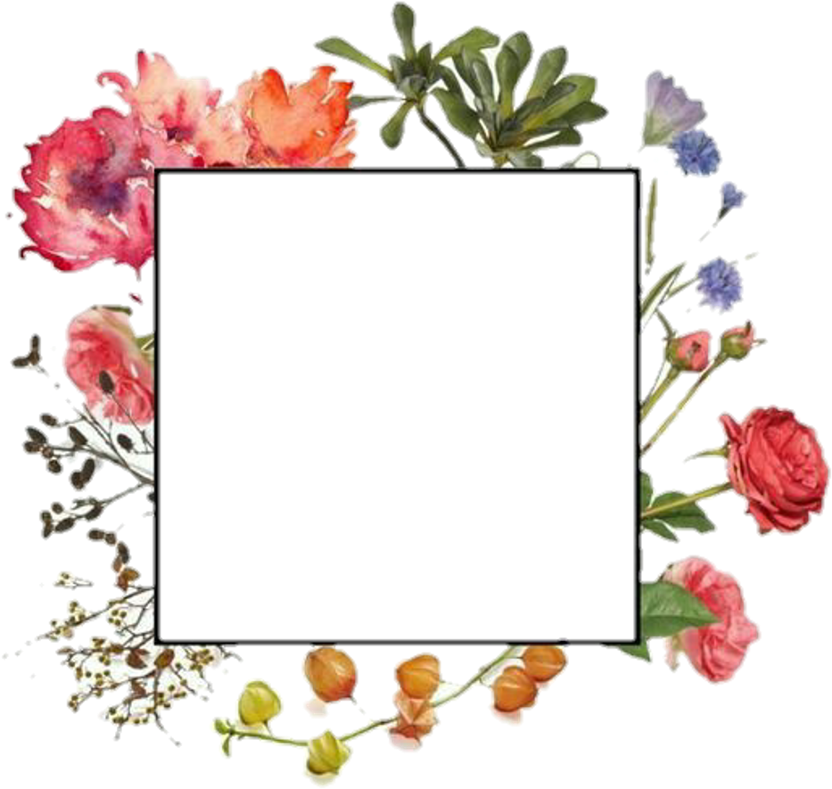 Margen De Flores Png , Png Download - กรอบ ดอกไม้ สี นำ้ Clipart (933x885), Png Download