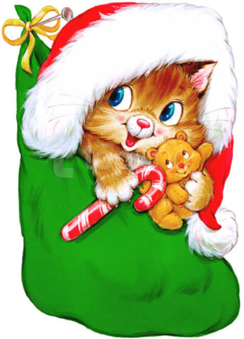 Free Png Transparent Christmas Kitten With Candy Cane - Kitten Christmas Clip Art (480x694), Png Download
