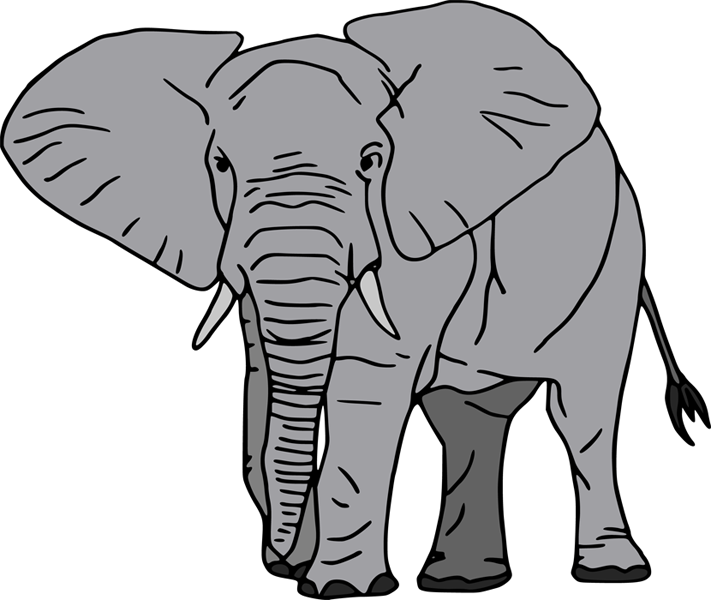 Sm-elephant Https - African Forest Elephant Cartoon Clipart (711x600), Png Download