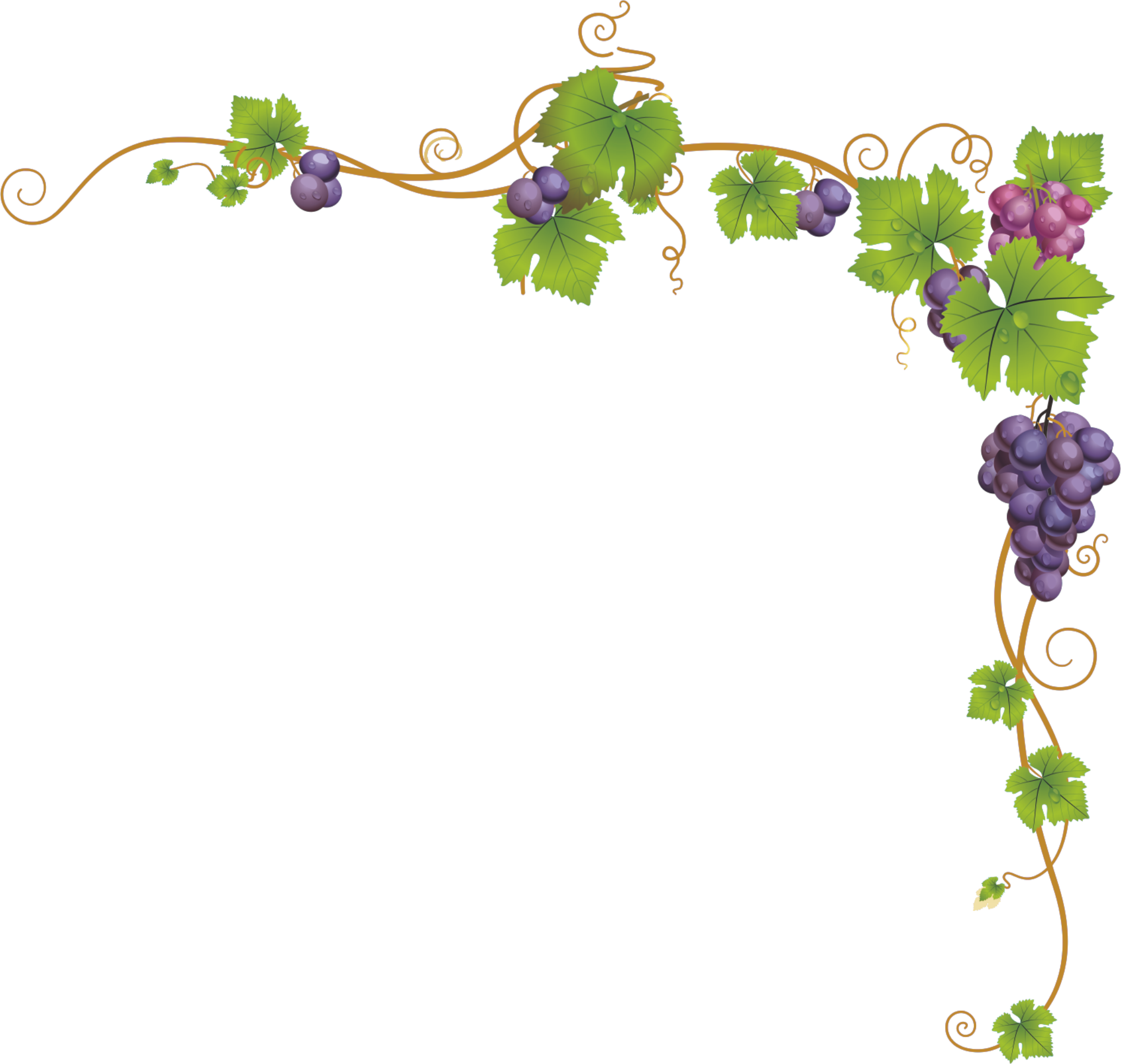 Church Service Child Dendrite Grape Vines Frame - Marco De Uvas Png Clipart (2064x1959), Png Download