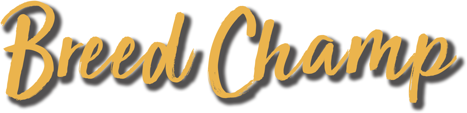 Circle Checkmark 30 Sep 2018 - Calligraphy Clipart (1489x361), Png Download