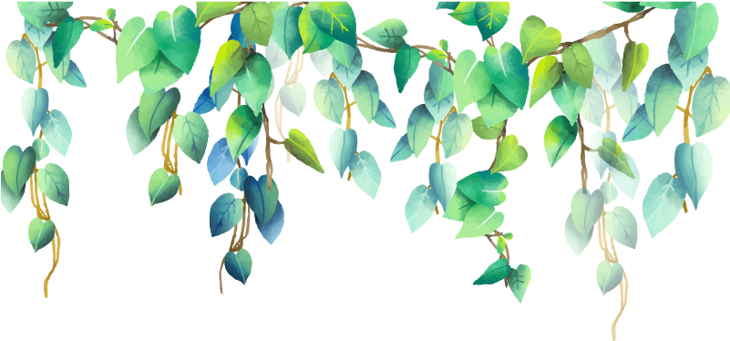 #green #plant #plants #png #pngstickers - Wild Leaves Border Png Clipart (800x600), Png Download