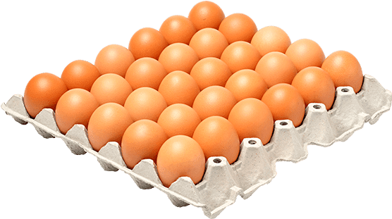 Easter Egg, Easter, Egg - Medio Carton De Huevos Png Clipart (600x600), Png Download
