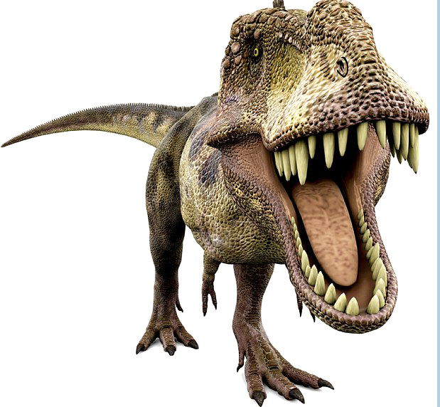 Dinosaur Transparent - Dinosaur Non Fiction Book Clipart (619x572), Png Download