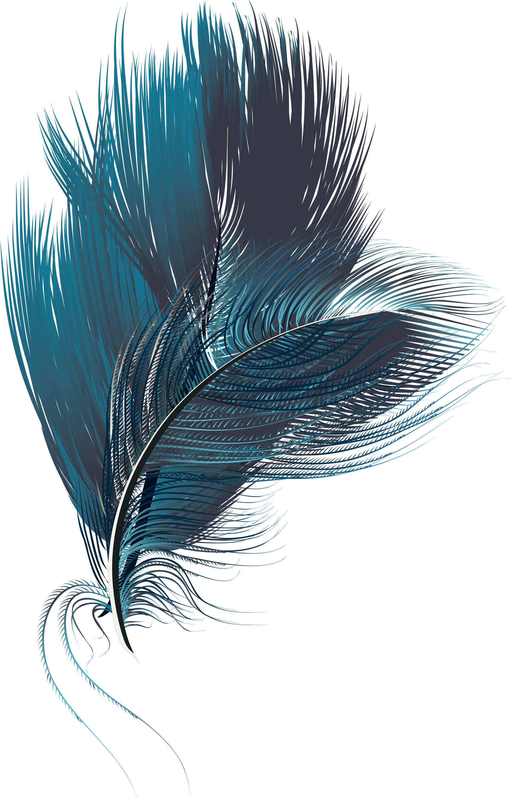 Blue Feathers Png - Illustration Clipart (1717x2681), Png Download