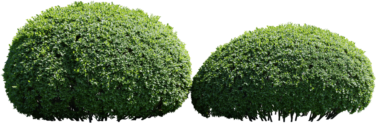 Blender Market - Transparent Hedge Bush Png Clipart (1600x800), Png Download