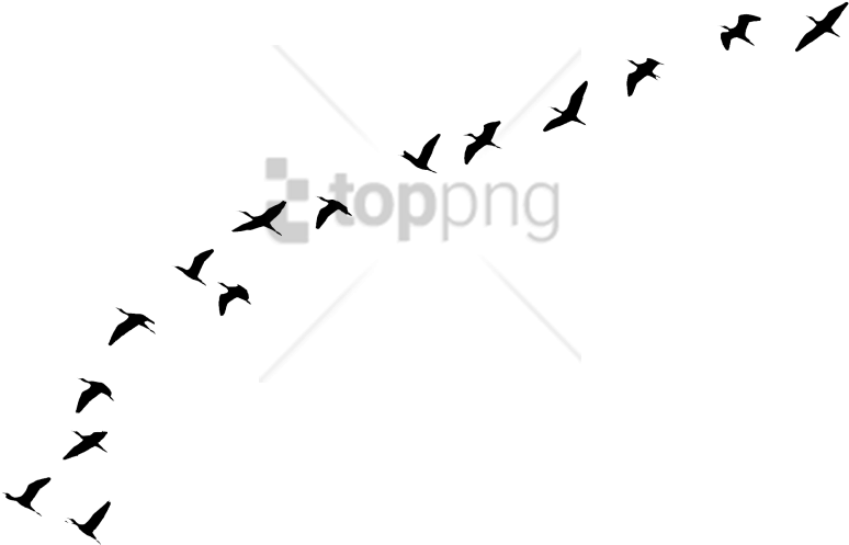 Free Png Flying Birds Tattoo Png Image With Transparent - Aves Volando Png Clipart (850x663), Png Download
