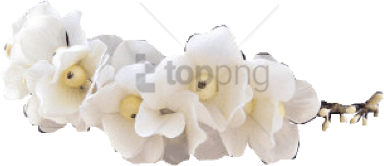 Free Png Tumblr Transparent Flower Crown Png Image - Flower Crown White Png Clipart (850x417), Png Download