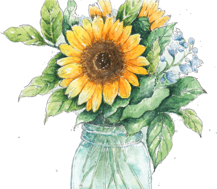 Sunflower Png Clipart (1024x768), Png Download