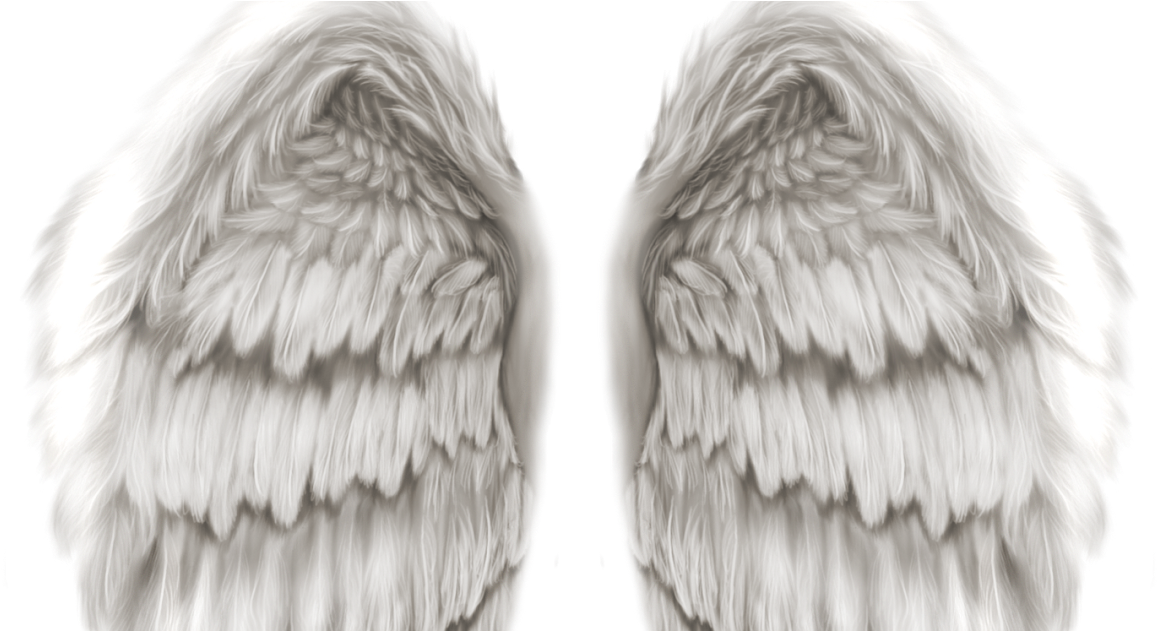 Angel Wings Png Tumblr Angel Wings Png Tumblr - Angel Son In Heaven Clipart (1200x630), Png Download
