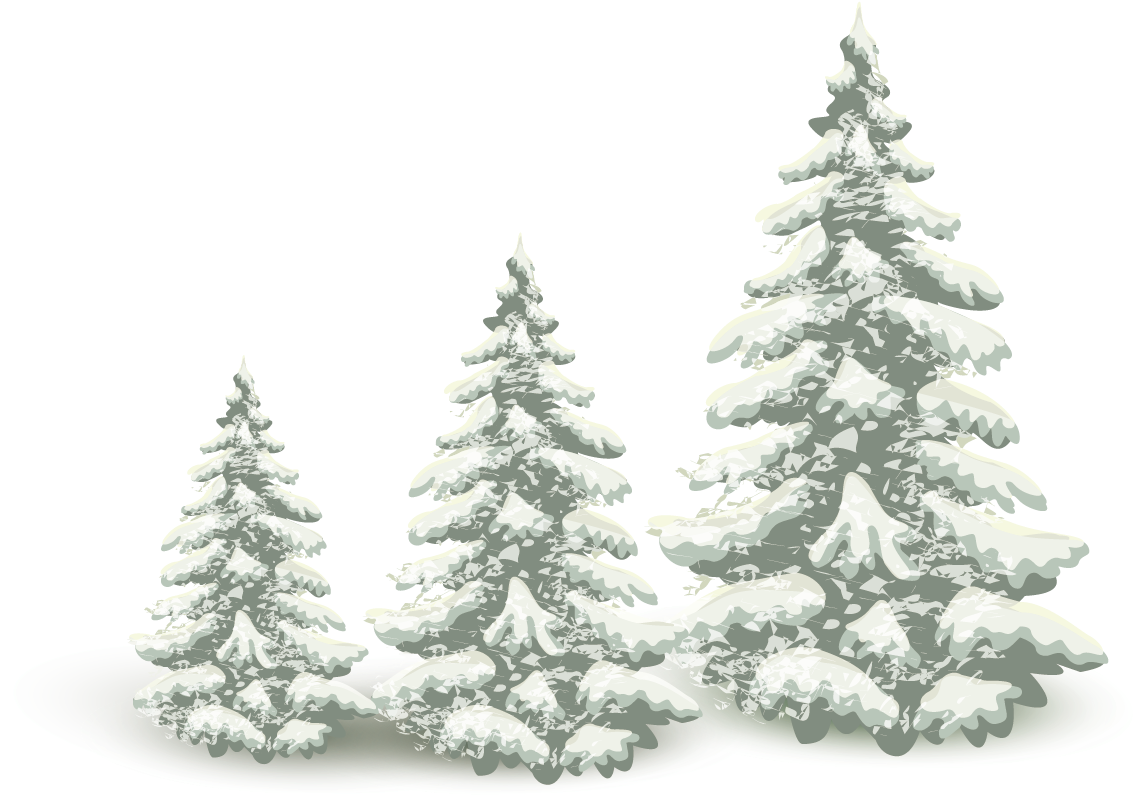 Snow Pine Png - Christmas Snowflakes Falling Png Clipart (1240x1143), Png Download
