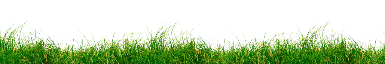 Grass Section Png Clipart (1280x370), Png Download