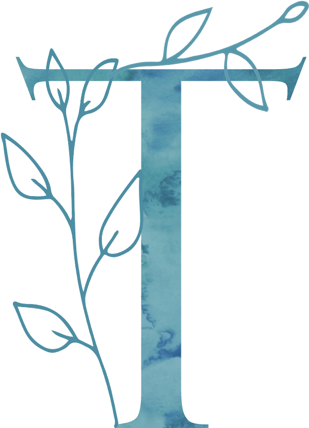 Clip Art - Png Download (914x915), Png Download