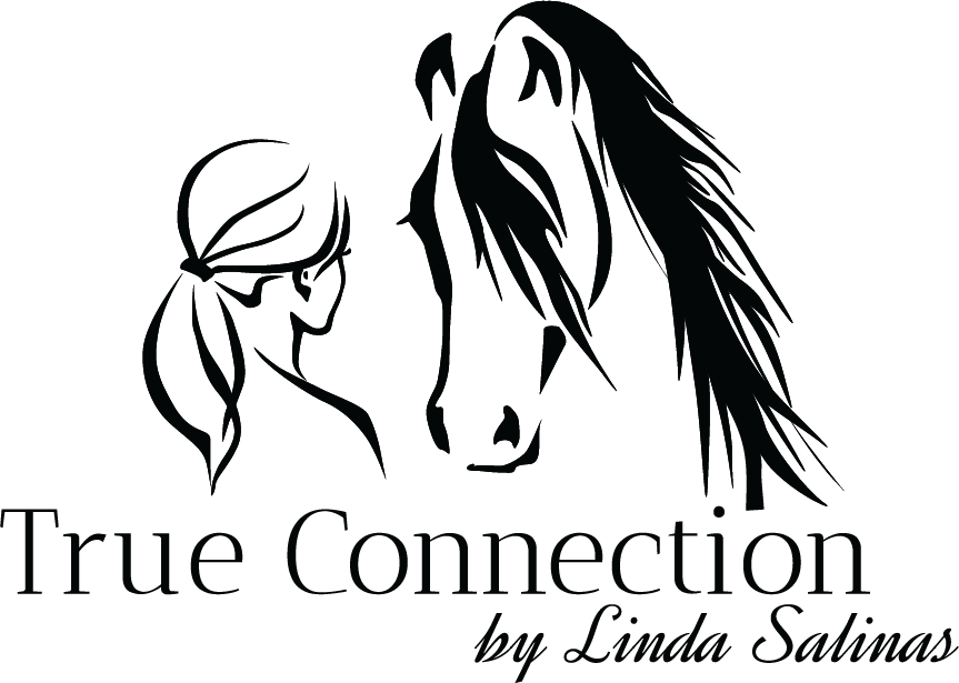 Linda J Salinas Horse Logo, Arabian Horses, Logo Ideas, - Illustration Clipart (863x615), Png Download