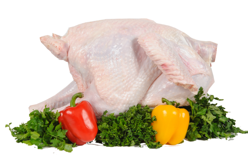 Turkey Food Png, Download Png Image With Transparent - Индейка Тушка Мясо Пнг Clipart (801x500), Png Download