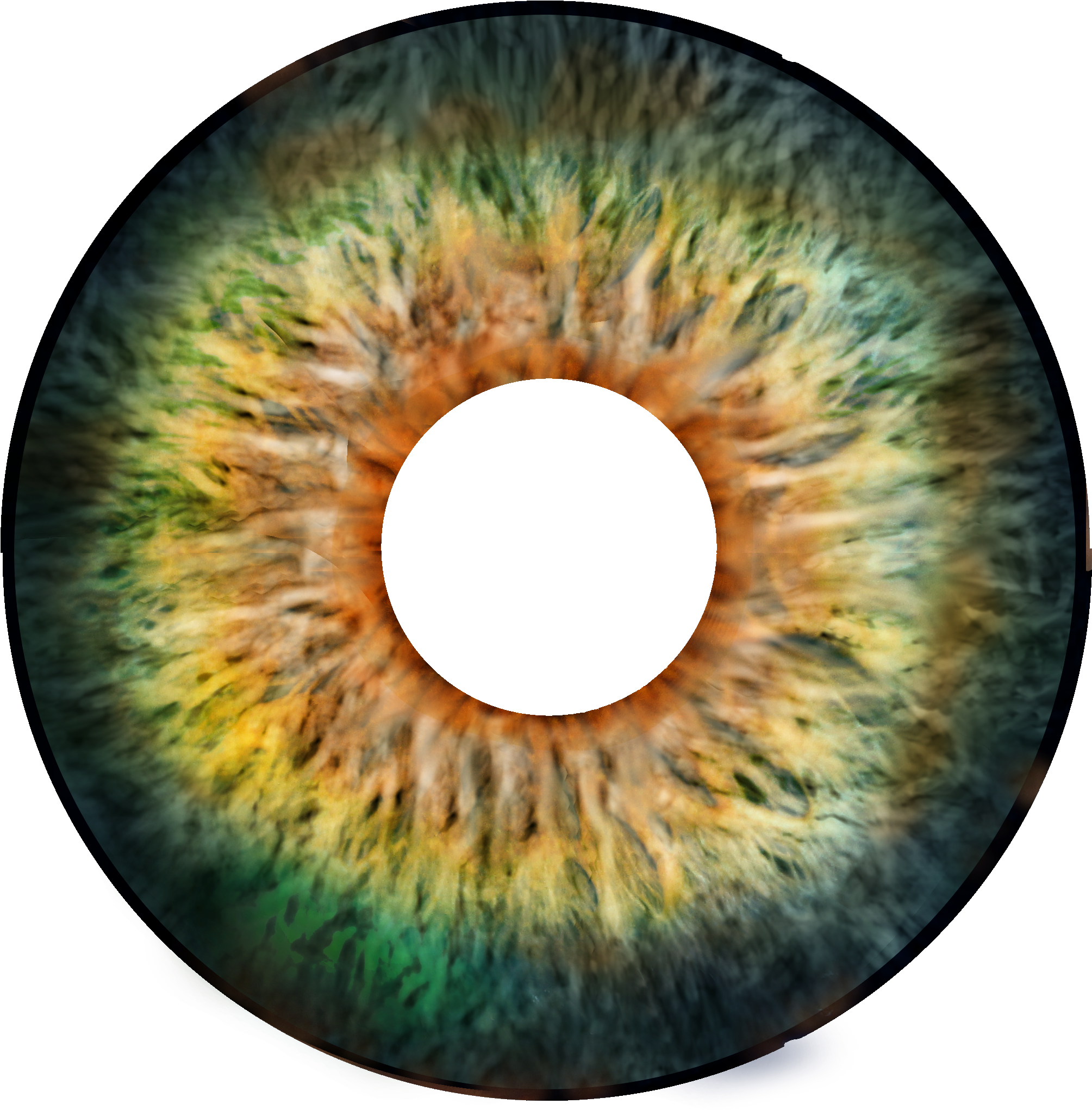 Eyeball Clipart Eye Forward - Circle - Png Download (2048x2048), Png Download