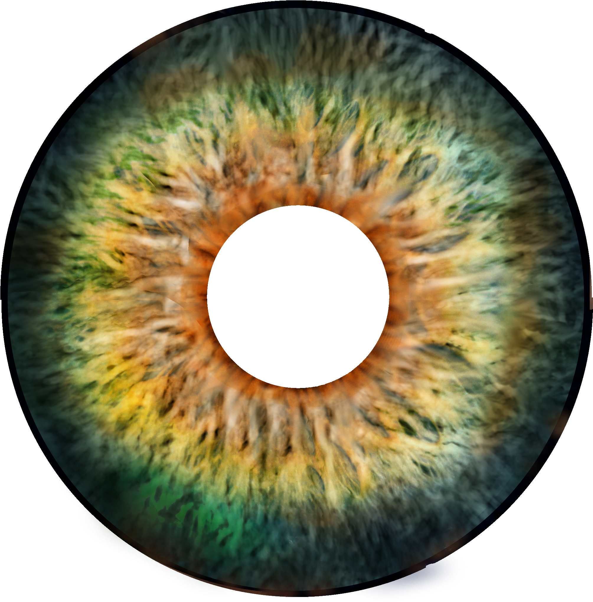 Eye bang. Зеленая радужка глаз. Реалистичный зрачок. Текстура глаза. Текстура Радужки глаза.