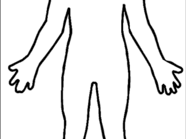 Human Body Outline Printable - Human Body Outline Png Clipart (640x480), Png Download