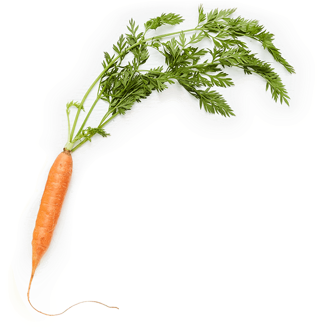 < 200 Calories - Baby Carrot Clipart (760x760), Png Download