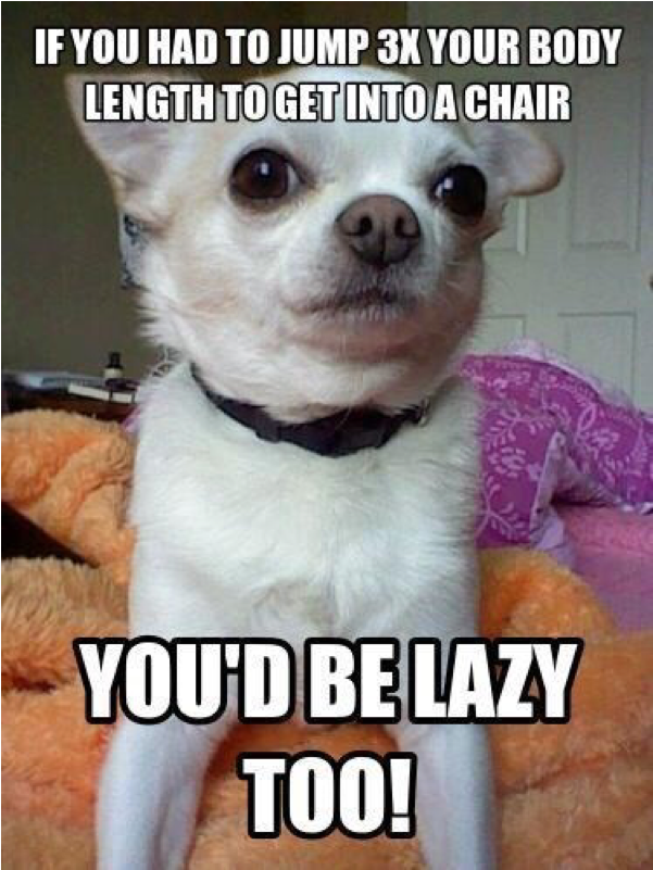 Clean Memes 03 29 2019 Morning - Memes About Correcting Grammar Clipart (800x800), Png Download