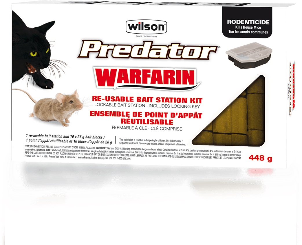Cat Grabs Treat Clipart (1080x1080), Png Download