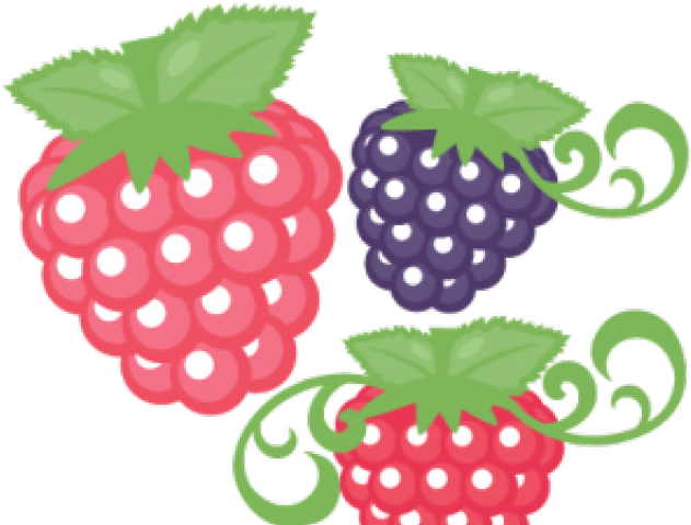 Raspberries Clipart Cute - Scalable Vector Graphics - Png Download (640x480), Png Download