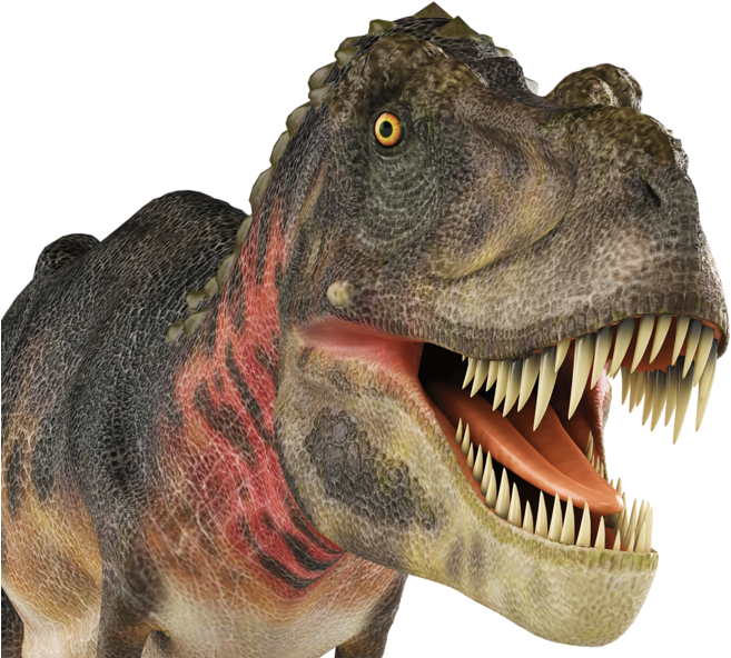 Фото, Автор Soloveika На Яндекс - Imagens De Dinossauro Sem Fundo Clipart (800x600), Png Download