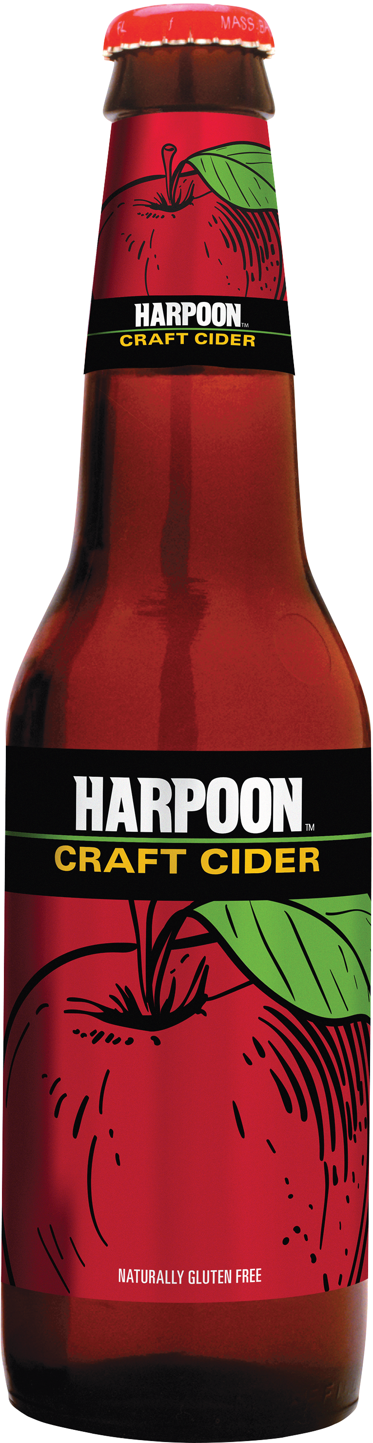 Craft Cider Bottle, Pdf - Glass Bottle Clipart (765x2958), Png Download