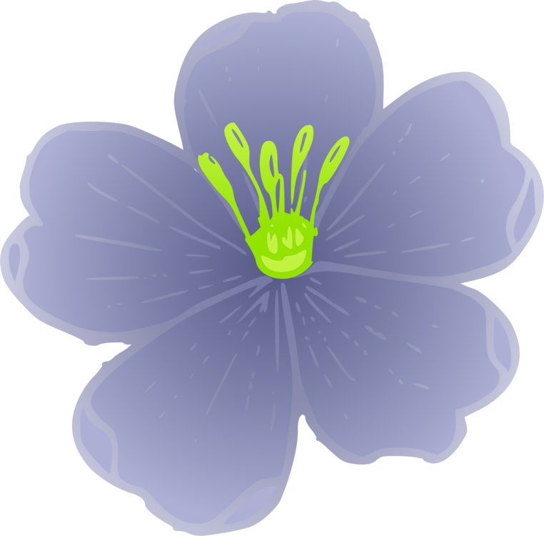 Lewis Flax Linum Perenne Flower Plants Clipart (762x750), Png Download