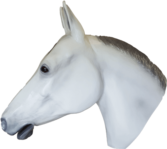 Life Size Display Grey Quarter Horse Head Looking Left - Stallion Clipart (600x528), Png Download