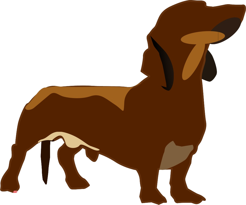 Dachshund Png - Dachshund Dog Clipart Transparent Png (998x831), Png Download