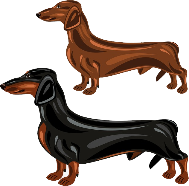 Dachshund Poses Clipart (632x624), Png Download