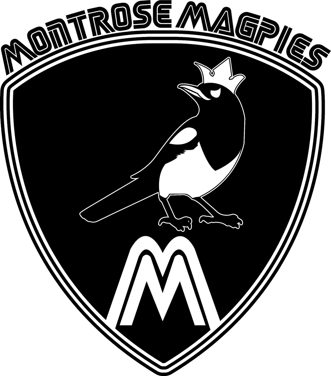 Quidditchteams Hashtag On Twitter Png Logo Png Bird - Quidditch Uniform Montrose Magpies Clipart (1057x1200), Png Download