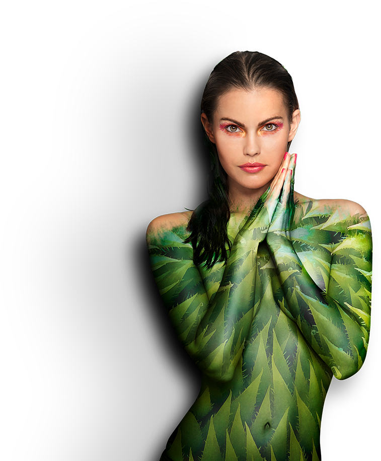 Design - Photo Shoot Clipart (1920x1080), Png Download