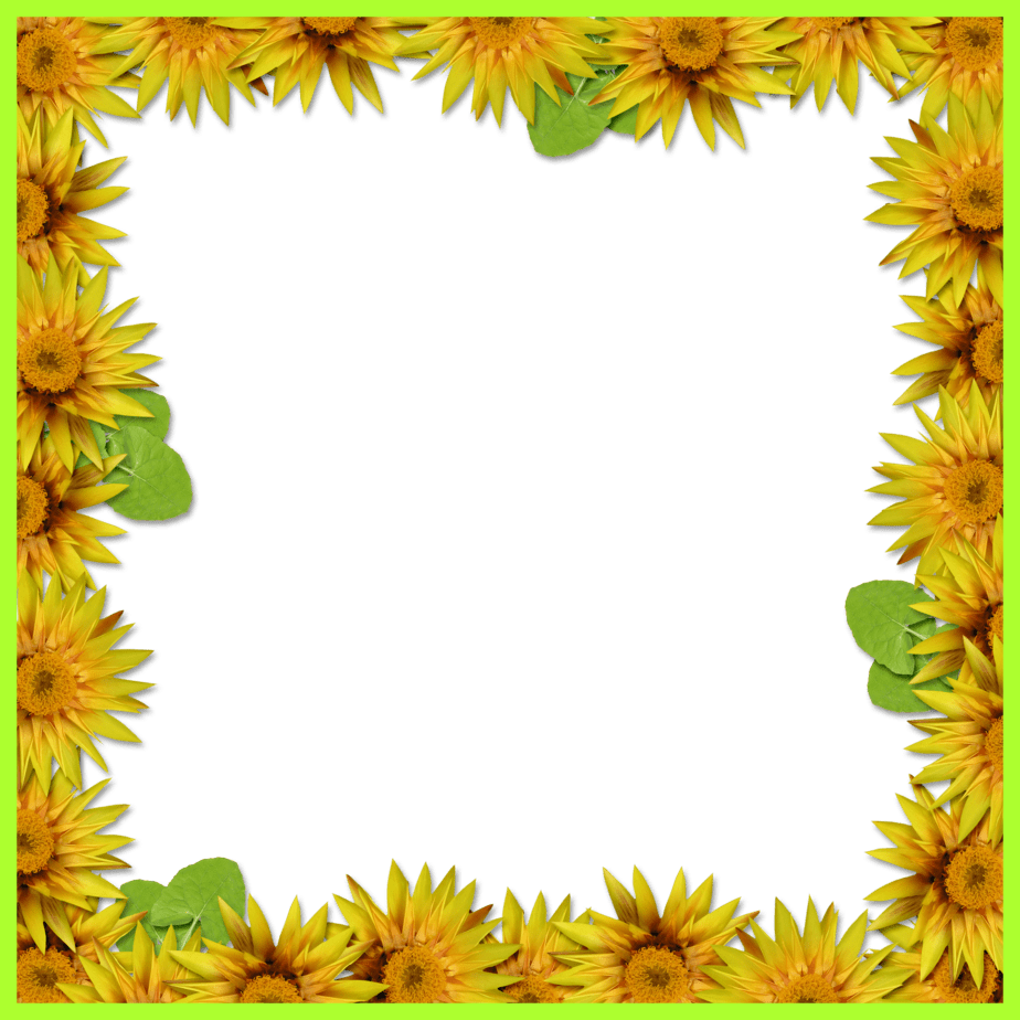 Sunflowers Png Page Borders - Flower Frame Png Hd Clipart (924x924), Png Download