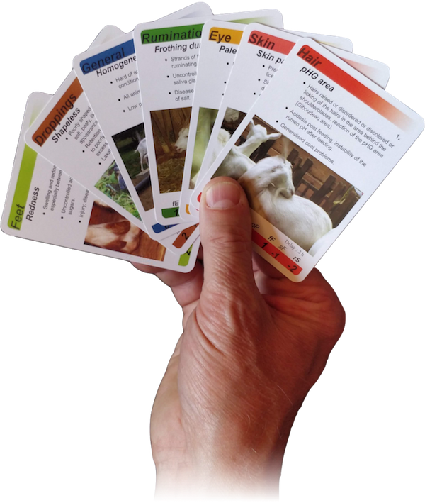 About Obsalim - Flyer Clipart (600x709), Png Download