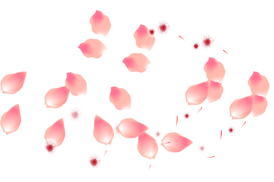 #ftestickers #flowers #petals #falling #pink - Lotion Clipart (1024x858), Png Download