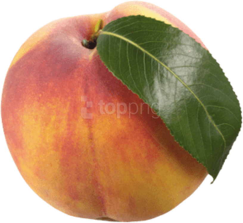 Free Png Peach With Leaf Png Images Transparent - Apricot Clipart (851x806), Png Download