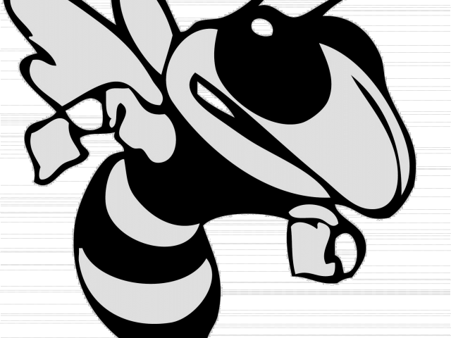 Hornet Clipart Transparent - Jeff Davis Yellow Jackets Football - Png Download (640x480), Png Download