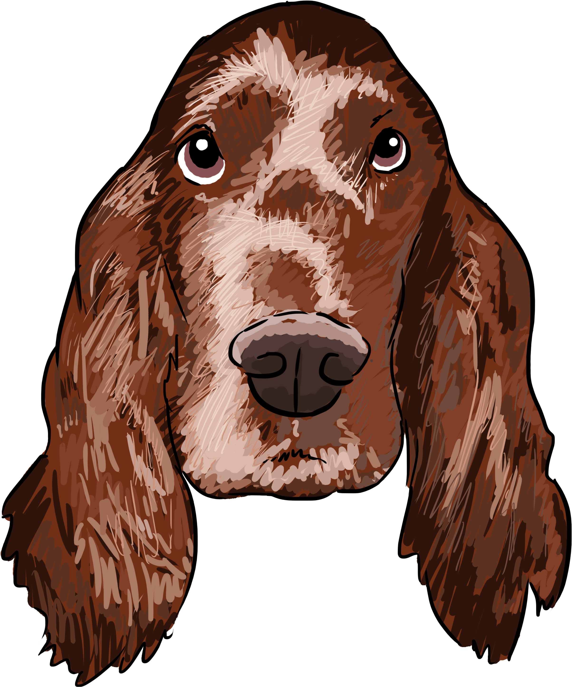 Irish Setters, Why Are You A Dog On This Weeks Show - Irish Setter Png Clipart (3000x3000), Png Download