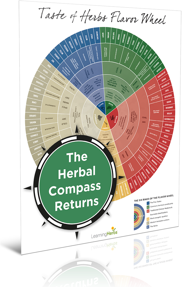 How To Choose The Right Herb For The Right Person With - Flavor Wheel Of Herbs Clipart (700x1013), Png Download